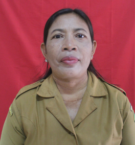 Ni Nyoman Wiktiasih